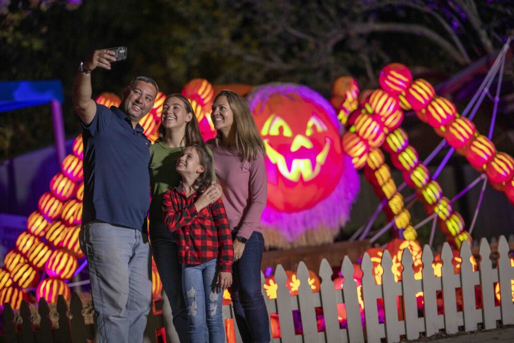 Enjoy family fun at Wild Adventures LumiNights! 