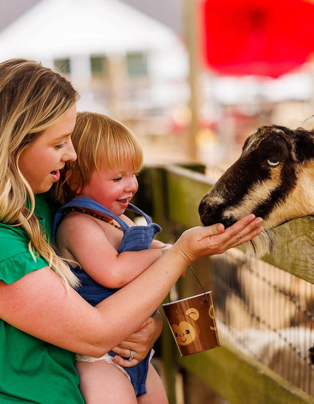 Fifth Day Farm Petting Zoo